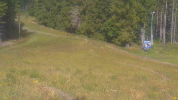 Snímek    22.7.2025 v 10:01