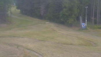 Snímek    31.7.2025 v 07:01