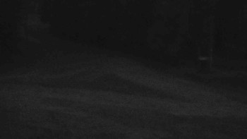 Snímek    23.10.2025 v 07:01