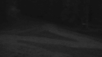 Snímek    23.10.2025 v 18:01