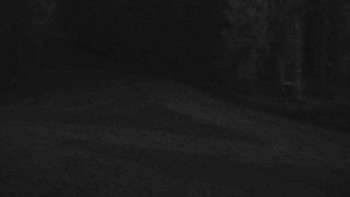 Snímek    31.10.2025 v 06:01