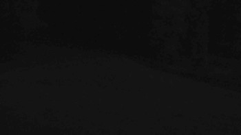 Snímek    1.11.2025 v 06:01