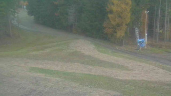 Snímek    1.11.2025 v 06:31