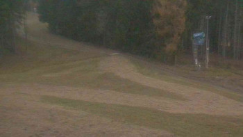 Snímek 7.11.2025 v 06:31