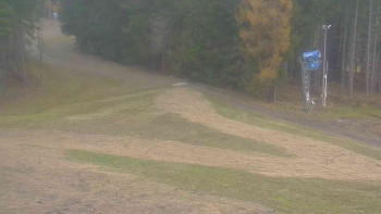 Snímek 7.11.2025 v 07:01