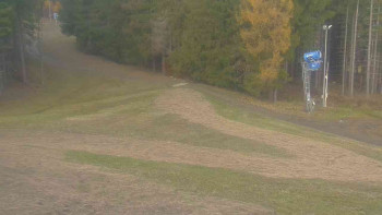 Snímek 7.11.2025 v 08:31