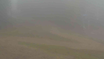 Snímek 9.11.2025 v 12:01