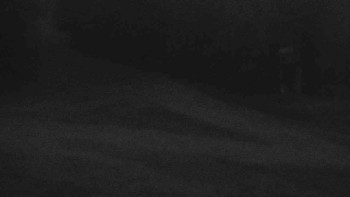 Snímek 15.11.2025 v 06:31