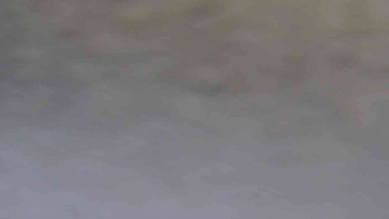 Snímek 18.11.2025 v 08:31