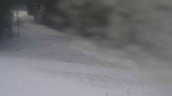 Snímek    18.11.2025 v 13:31