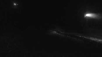 Snímek    19.11.2025 v 00:31