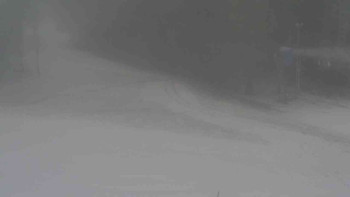 Snímek    19.11.2025 v 11:01