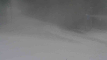 Snímek 19.11.2025 v 12:31