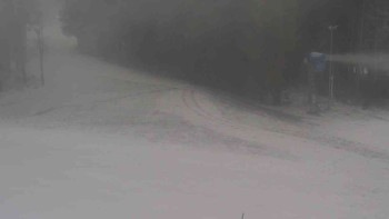 Snímek    19.11.2025 v 15:01