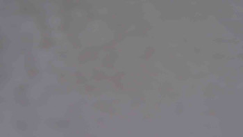 Snímek    24.11.2025 v 11:01