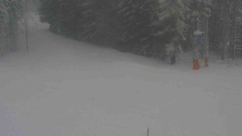 Ski Karlov - areál Karlov