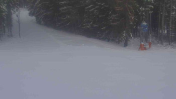 Ski Karlov - areál Karlov