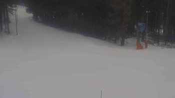 Ski Karlov - areál Karlov