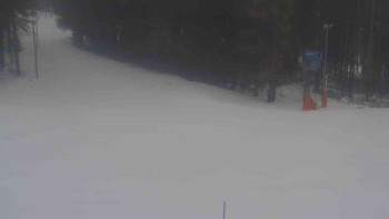 Ski Karlov - areál Karlov