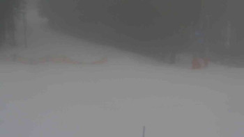 Ski Karlov - areál Karlov