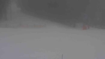 Ski Karlov - areál Karlov