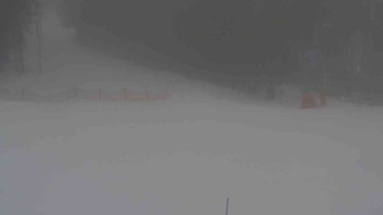 Ski Karlov - areál Karlov