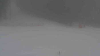 Ski Karlov - areál Karlov