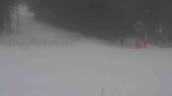 Ski Karlov - areál Karlov