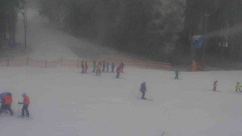 Ski Karlov - areál Karlov