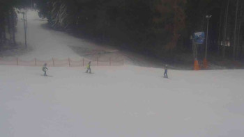 Ski Karlov - areál Karlov