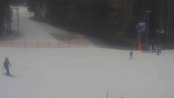 Ski Karlov - areál Karlov