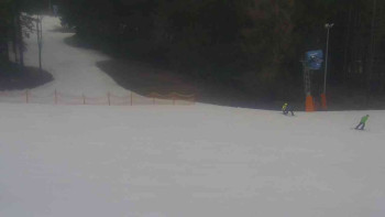 Ski Karlov - areál Karlov