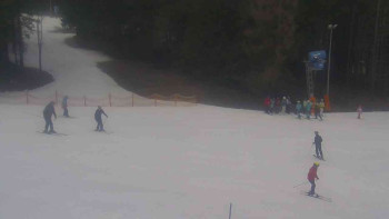 Ski Karlov - areál Karlov