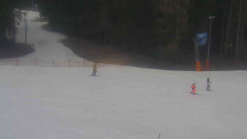 Ski Karlov - areál Karlov