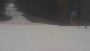 Ski Karlov - areál Karlov