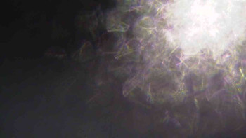 Ski Karlov - areál Karlov