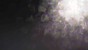 Ski Karlov - areál Karlov