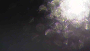 Ski Karlov - areál Karlov