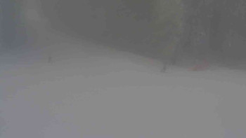 Ski Karlov - areál Karlov