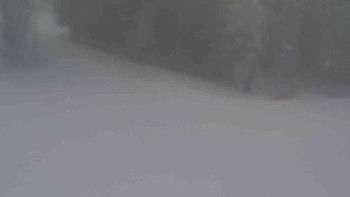 Ski Karlov - areál Karlov