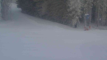 Ski Karlov - areál Karlov