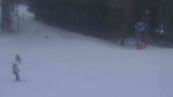 Ski Karlov - areál Karlov