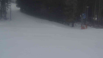 Ski Karlov - areál Karlov