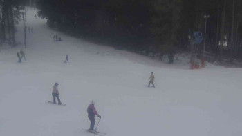 Ski Karlov - areál Karlov