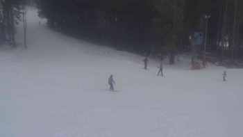 Ski Karlov - areál Karlov