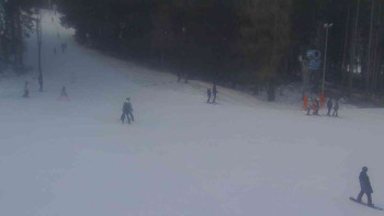 Ski Karlov - areál Karlov