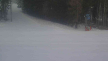 Ski Karlov - areál Karlov