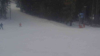 Ski Karlov - areál Karlov