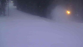 Ski Karlov - areál Karlov