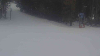 Ski Karlov - areál Karlov